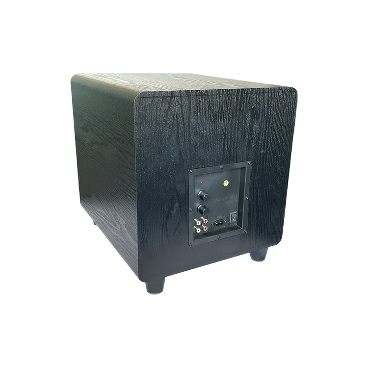 قسمت پشت Subwoofer