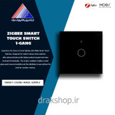 کلید تک پل زیگبی موئس