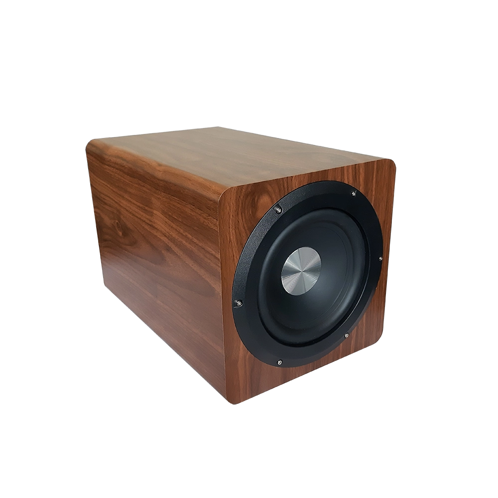 ساب‌ ووفر D6 (6 inch)